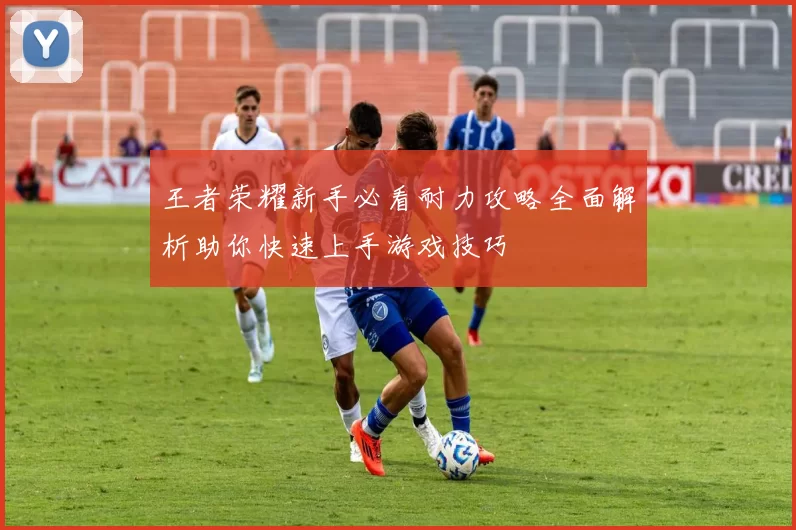 王者荣耀新手必看耐力攻略全面解析助你快速上手游戏技巧