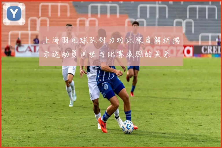 上海羽毛球队耐力对比深度解析揭示运动员训练与比赛表现的关系