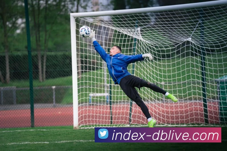 DB旗舰集团APP 封面图